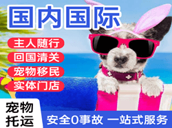 玉树巴塘航空快运国际宠物托运 【国